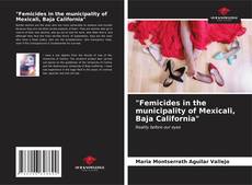 "Femicides in the municipality of Mexicali, Baja California" kitap kapağı