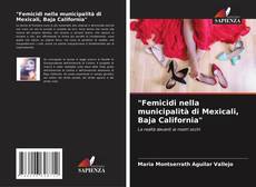 Bookcover of "Femicidi nella municipalità di Mexicali, Baja California"