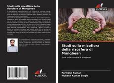 Buchcover von Studi sulla micoflora della rizosfera di Mungbean