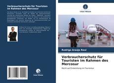 Buchcover von Verbraucherschutz für Touristen im Rahmen des Mercosur