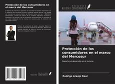 Capa do livro de Protección de los consumidores en el marco del Mercosur 