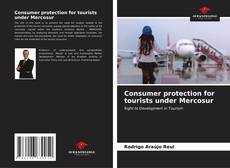 Bookcover of Consumer protection for tourists under Mercosur