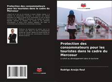 Capa do livro de Protection des consommateurs pour les touristes dans le cadre du Mercosur 