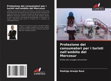 Protezione dei consumatori per i turisti nell'ambito del Mercosur kitap kapağı