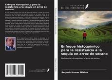 Capa do livro de Enfoque histoquímico para la resistencia a la sequía en arroz de secano 