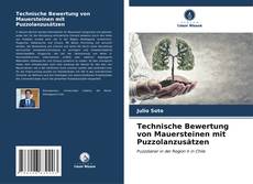 Buchcover von Technische Bewertung von Mauersteinen mit Puzzolanzusätzen