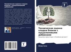 Buchcover von Техническая оценка кладки блоков с пуццолановыми добавками