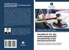 Handbuch für die ordnungsgemäße Umsetzung einer Rechtsvorschrift kitap kapağı