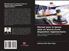 Buchcover von Manuel pour la bonne mise en œuvre d'une disposition réglementaire