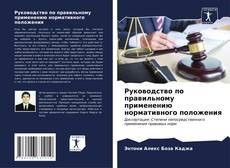 Buchcover von Руководство по правильному применению нормативного положения