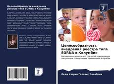 Buchcover von Целесообразность внедрения реестра типа SORNA в Колумбии