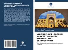 Buchcover von KULTURELLES LEBEN IN TURKESTAN UNTER KOLONIALEN BEDINGUNGEN