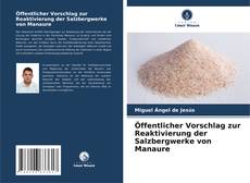 Öffentlicher Vorschlag zur Reaktivierung der Salzbergwerke von Manaure的封面