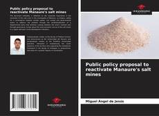 Portada del libro de Public policy proposal to reactivate Manaure's salt mines