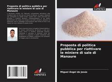 Bookcover of Proposta di politica pubblica per riattivare le miniere di sale di Manaure
