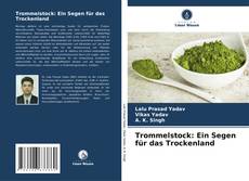 Capa do livro de Trommelstock: Ein Segen für das Trockenland 