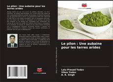 Bookcover of Le pilon : Une aubaine pour les terres arides