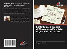Обложка L'effetto dello scoppio di Macondo sull'analisi e la gestione del rischio