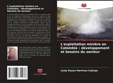 Bookcover of L'exploitation minière en Colombie : développement et besoins du secteur