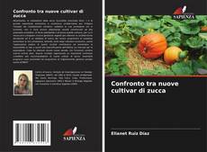 Bookcover of Confronto tra nuove cultivar di zucca