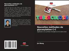 Nouvelles méthodes de glycosylation C-C kitap kapağı