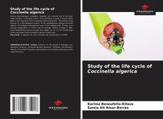 Capa do livro de Study of the life cycle of Coccinella algerica 