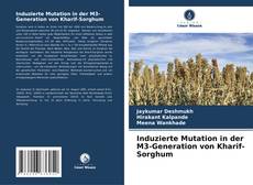 Capa do livro de Induzierte Mutation in der M3-Generation von Kharif-Sorghum 