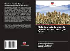 Capa do livro de Mutation induite dans la génération M3 du sorgho kharif 