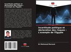 Bookcover of Incertitude politique et déclaration des risques : L'exemple de l'Égypte