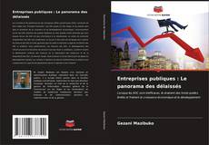Buchcover von Entreprises publiques : Le panorama des délaissés