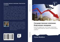 Bookcover of Государственные компании: Отреченная панорама