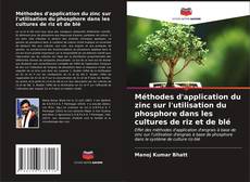 Buchcover von Méthodes d'application du zinc sur l'utilisation du phosphore dans les cultures de riz et de blé