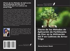 Buchcover von Efecto de los Métodos de Aplicación de Fertilizante de Zinc en la Utilización del P en Cultivos de Arroz-Trigo
