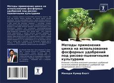 Portada del libro de Методы применения цинка на использование фосфорных удобрений под рисово-пшеничными культурами