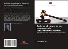 Couverture de Ombres et lumières du processus de constitutionnalisation