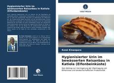 Bookcover of Hygienisierter Urin im bewässerten Reisanbau in Katiola (Elfenbeinküste)