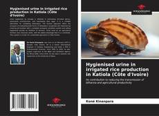 Buchcover von Hygienised urine in irrigated rice production in Katiola (Côte d'Ivoire)