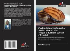 Bookcover of L'urina igienizzata nella produzione di riso irriguo a Katiola (Costa d'Avorio)