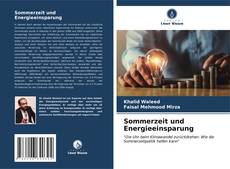 Bookcover of Sommerzeit und Energieeinsparung
