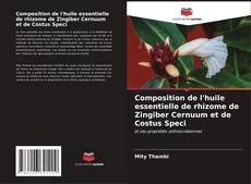 Обложка Composition de l'huile essentielle de rhizome de Zingiber Cernuum et de Costus Speci