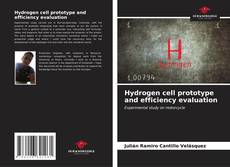 Buchcover von Hydrogen cell prototype and efficiency evaluation