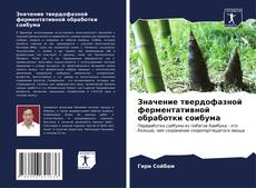 Buchcover von Значение твердофазной ферментативной обработки соибума