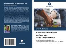 Bookcover of Zusammenarbeit für die Leistung von Entwicklungsmaklern