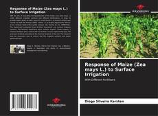 Couverture de Response of Maize (Zea mays L.) to Surface Irrigation