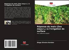 Capa do livro de Réponse du maïs (Zea mays L.) à l'irrigation de surface 