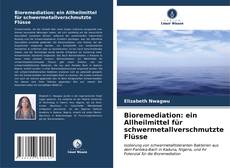 Capa do livro de Bioremediation: ein Allheilmittel für schwermetallverschmutzte Flüsse 