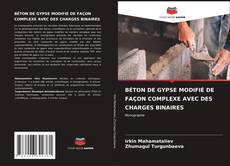 BÉTON DE GYPSE MODIFIÉ DE FAÇON COMPLEXE AVEC DES CHARGES BINAIRES的封面