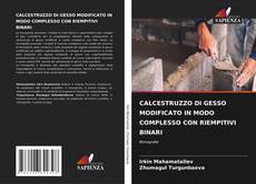 Bookcover of CALCESTRUZZO DI GESSO MODIFICATO IN MODO COMPLESSO CON RIEMPITIVI BINARI