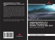 Implementation of a Safety Management System, Lincuna SAC 2017 kitap kapağı