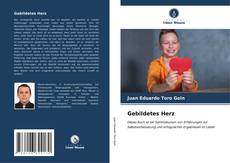 Bookcover of Gebildetes Herz